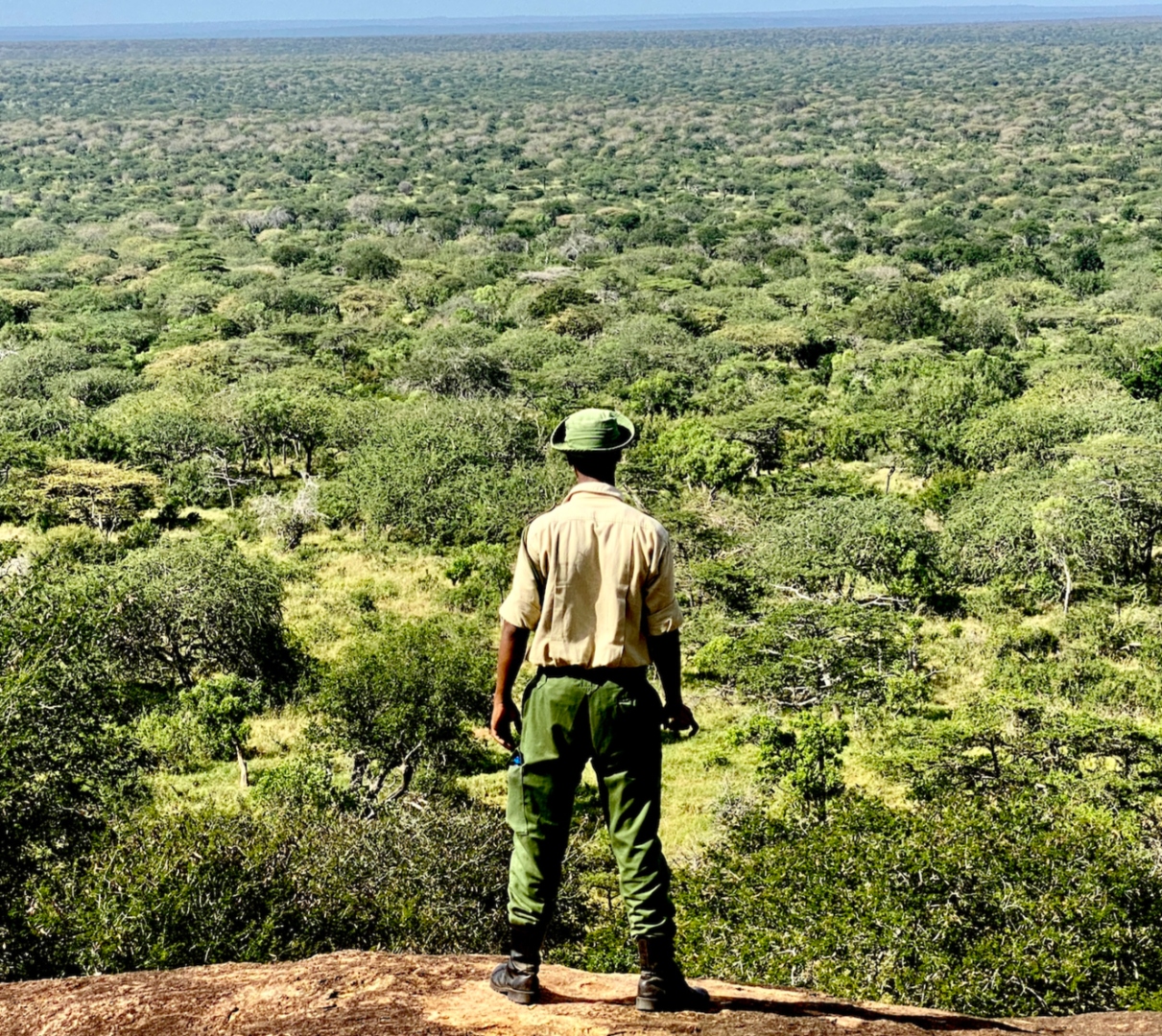 A figure stands on a rocky outcrop overlooking a vast green savanna landscape.